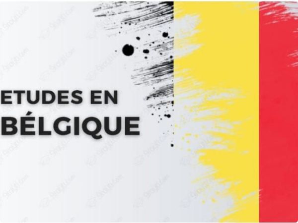 Consulting & Support